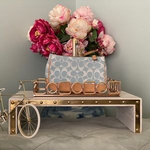 Coach Signature Demi Bag